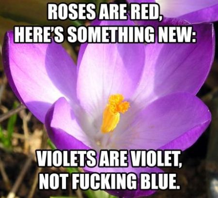violets are violet funny meme