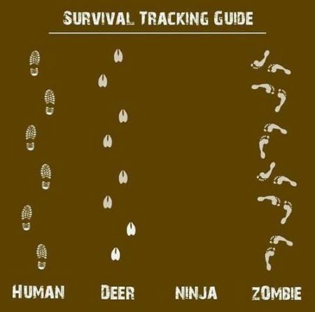 survival tracking guide