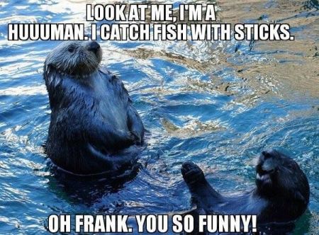 I�m human I catch fish with sticks funny
