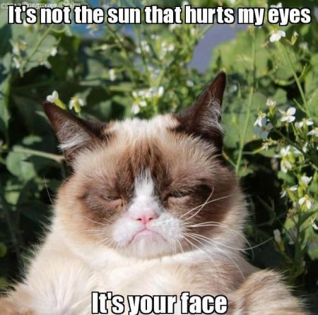 It’s not the sun that hurts my eyes grumpy cat