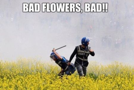 Bad flowers meme