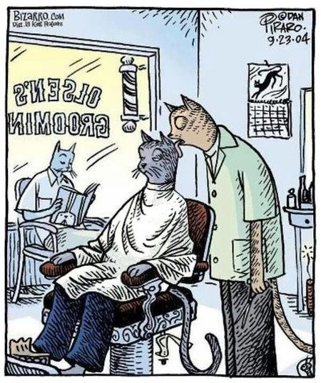 cat grooming cartoon