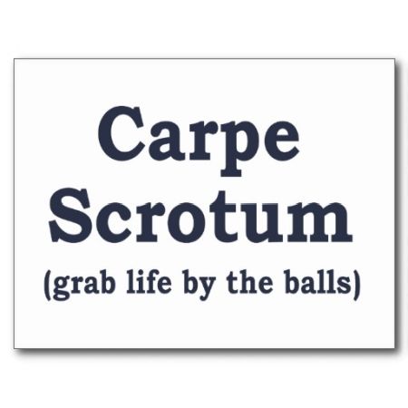 carpe scrotum