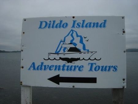 dildo island adventure tours