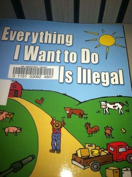 everything I want to do is illegal