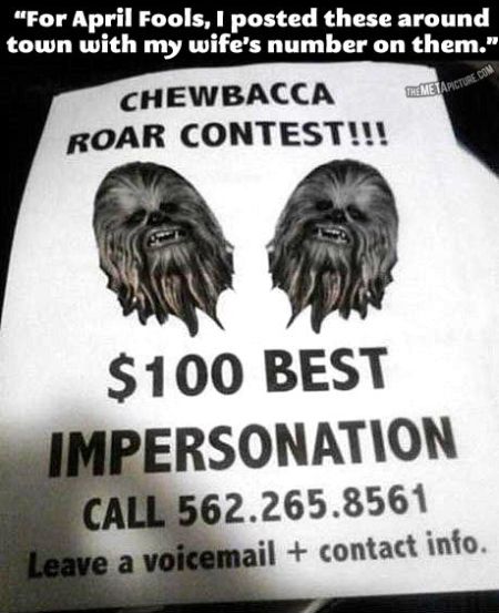 Chewbacca april fools prank