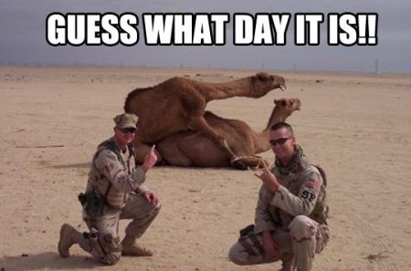 guess what day it is hump day funny