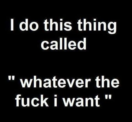 whatever the f*ck I want quote