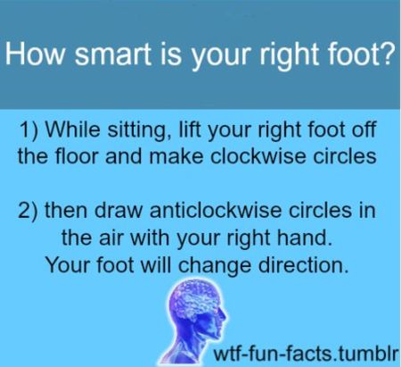 how smart is your right foot