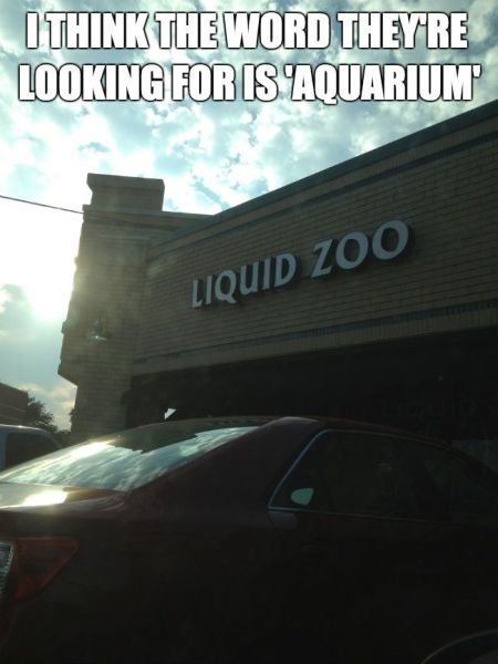 liquid zoo funny
