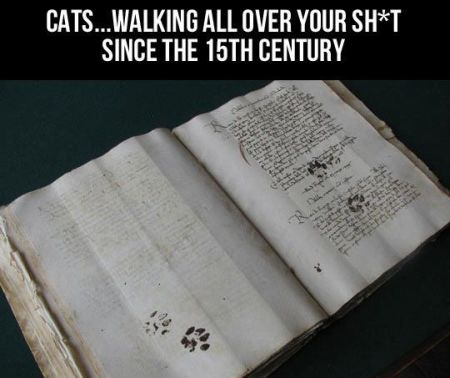 cats walking all over your sh*t since the 15h century