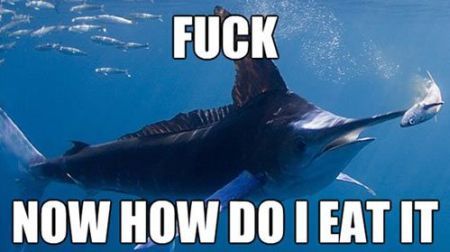 swordfish how do I eat it funny