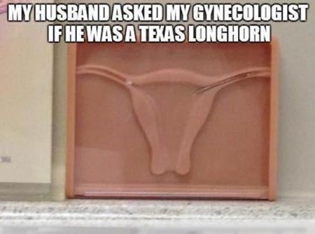 my husband asked my gynecologist funny