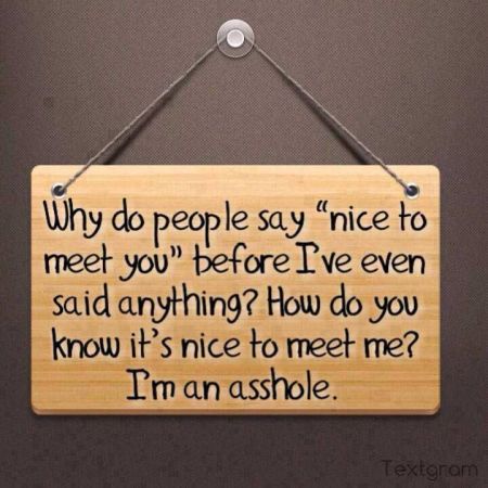 why do people say nice to meet you quote