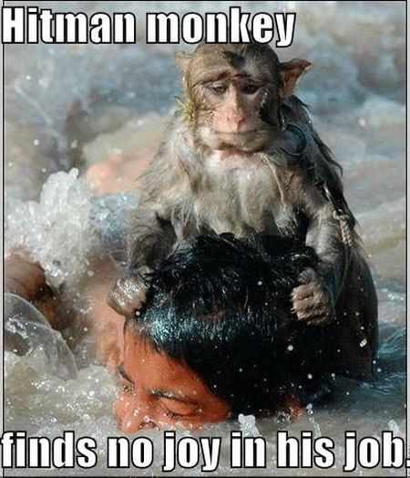 Hitman Monkey finds no joy in his job