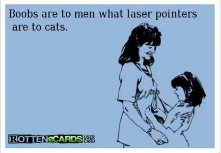 boobs are to men what laser pointers are to cats ecard