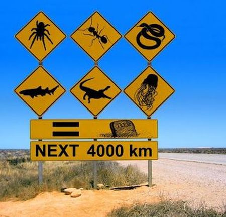 Australian signs funny