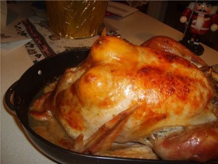 turkey with breasts