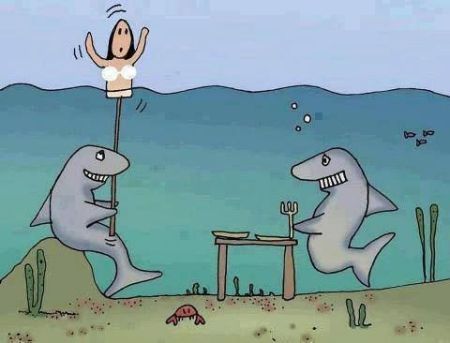 shark dinner prank cartoon