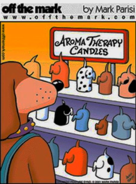 dog aroma therapy candles