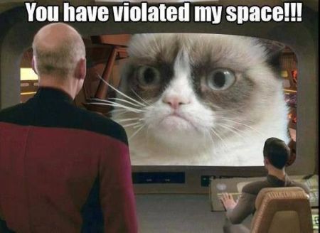 you have violated my space grumpy cat