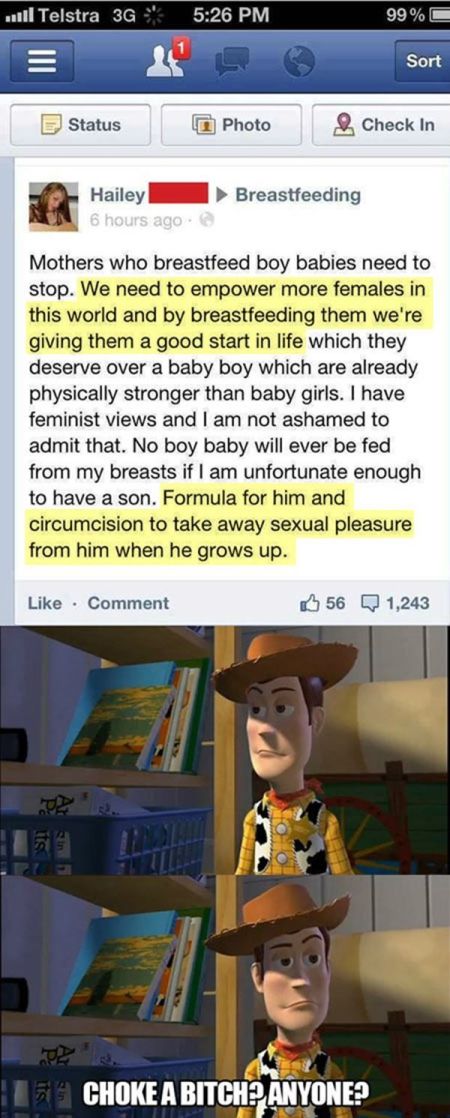 feminist breastfeeding comment fail