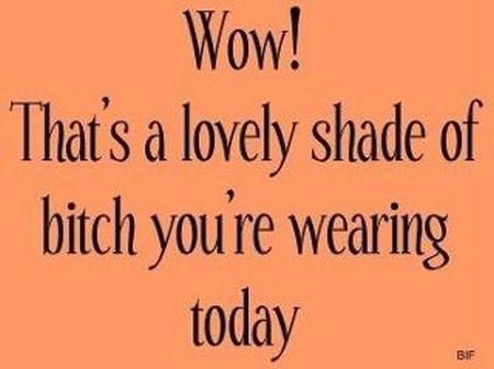 a lovely shade of b*tch you’re wearing today