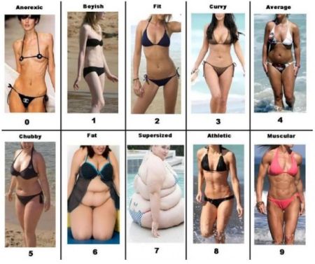 body shapes chart