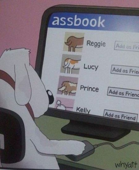 dog social network cartoon