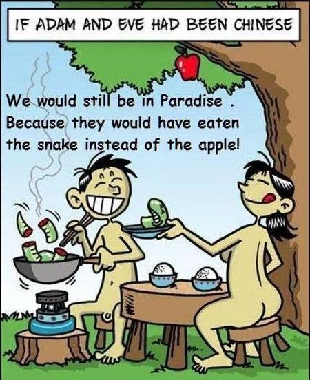 if adam and eve had been Chinese