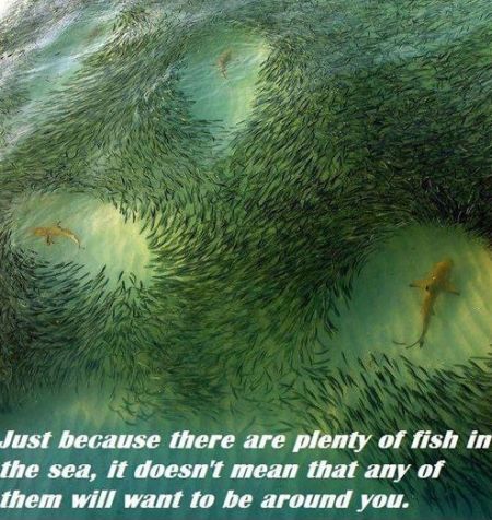 just because there are plenty of fish in the sea