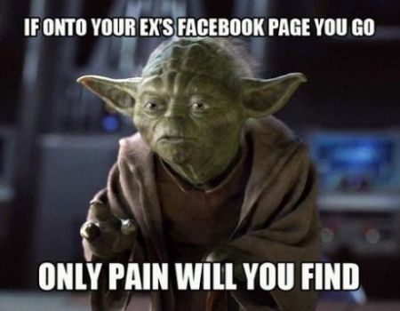 only pain will you find yoda meme