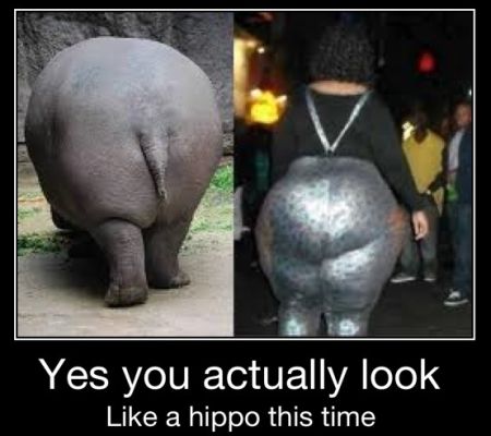 you actually look like a hippo demotivational