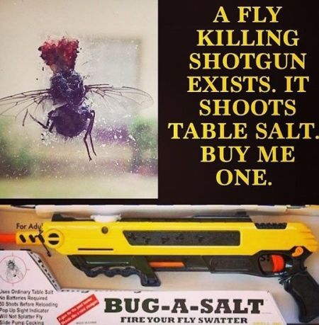 fly killing shotgun