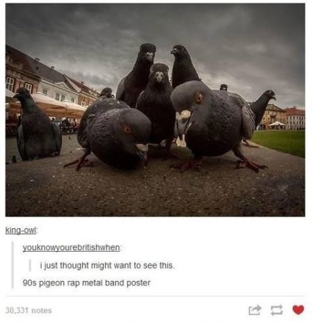 pigeon rap metal band poster