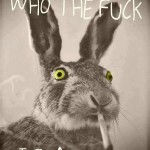 Rabbit who the f*ck is alice - funny picture at PMSLweb.com