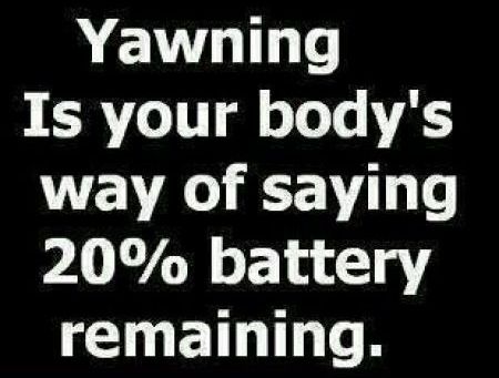 yawning is the body’s way of saying 20% battery remaining