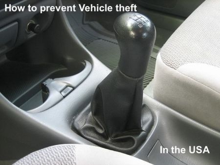 how to prevent vehicle theft In the USA meme
