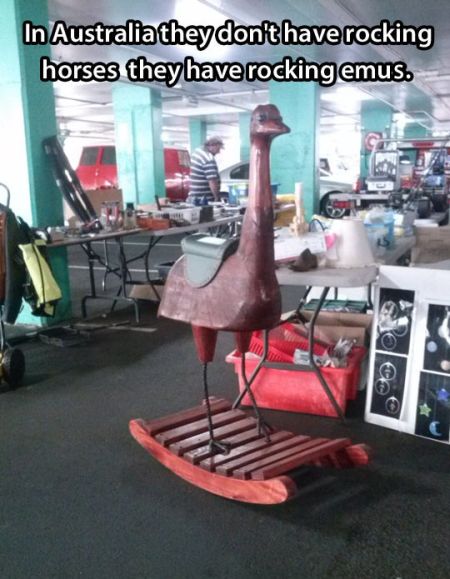 in Australia they have rocking emus