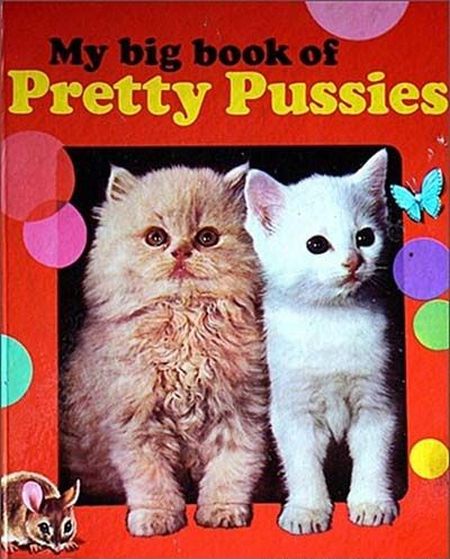 my book of pretty pussies