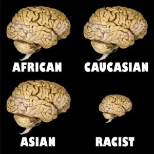 Racist brain size - funny picture at PMSLweb.com