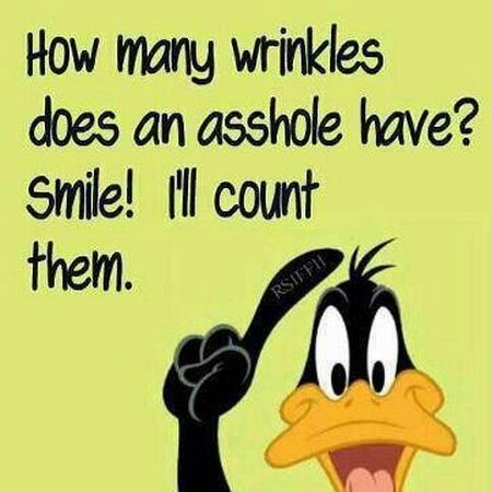 how many wrinkles does an a**hole have