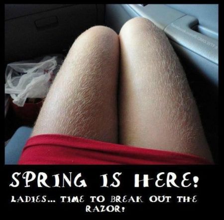 spring is here meme