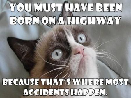 you must have been born on a highway grumpy cat