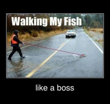 walking my fish like a boss