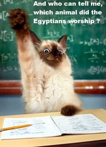 which animal did the Egyptians worship