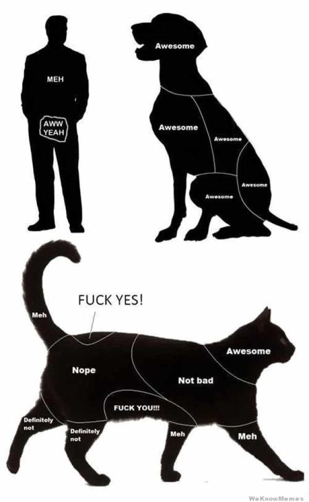 petting chart funny