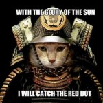 Samurai cat meme - Samurai joke