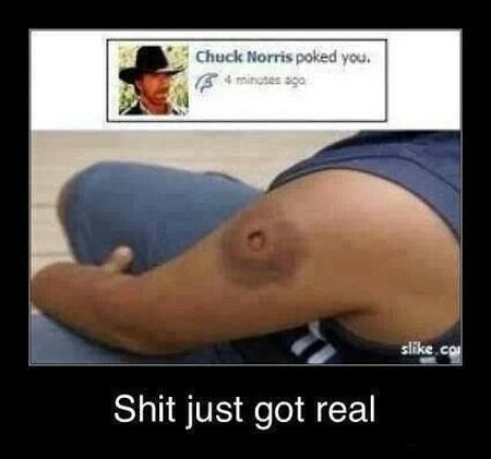 Chuck Norris poked you demotivational - Hump Day fun at PMSLweb.com