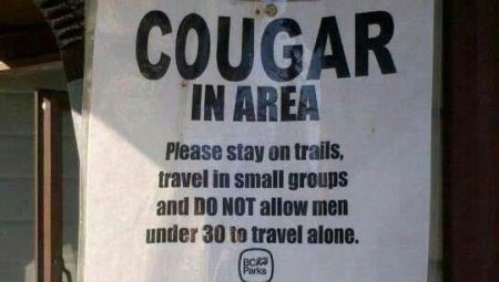 Cougar area funny – Me gusta funnies at PMSLweb.com